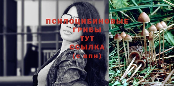 марки nbome Алзамай