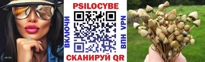 наркотики  Белореченск  Псилоцибиновые грибы ЛСД 