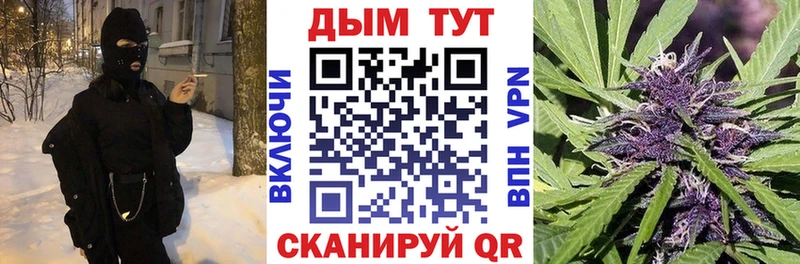 Бошки марихуана THC 21%  хочу наркоту  Белореченск 